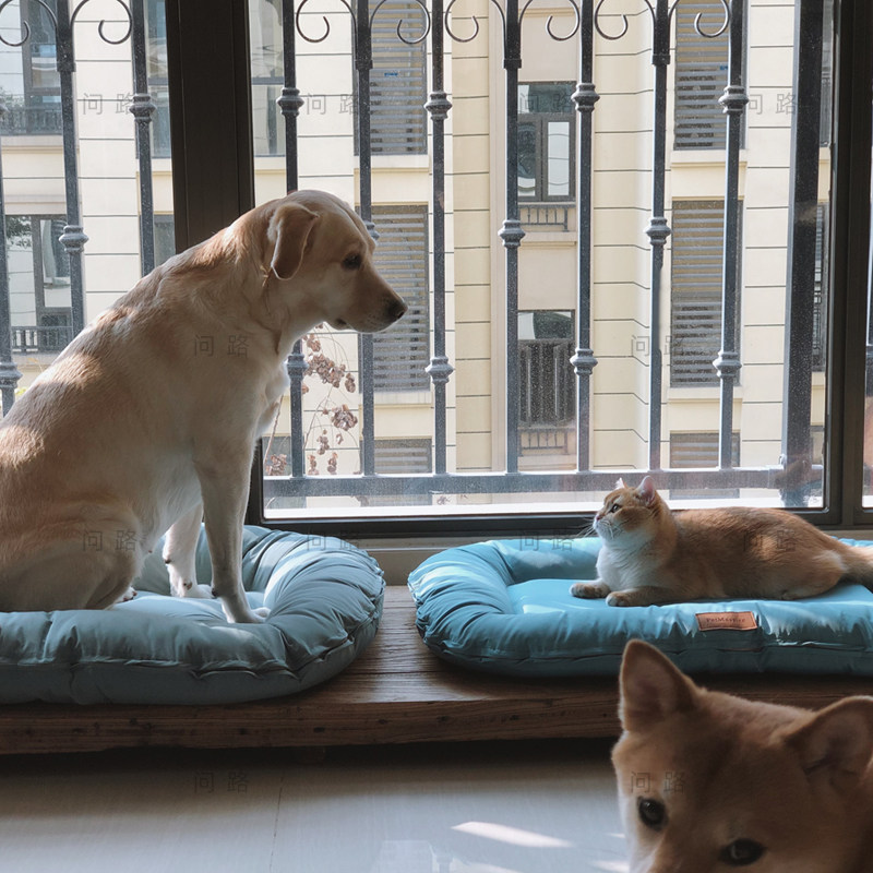 Asking for directions In the cobblestones of Jingxi, it is cool in summer for cat beds and kennels, which are removable and washable, easy to clean and quick-drying cat beds