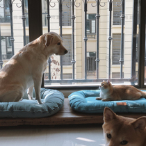 Ask Lujingxis cobblestones for summer cool cat beds Dogs can be removed and easy to clean quickly and dry cat nests