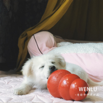 Post-year hair Kong classic hyacinth tyres Puppy toys Missed Ball Toys Bite Labrador Firewood Dog Grindle