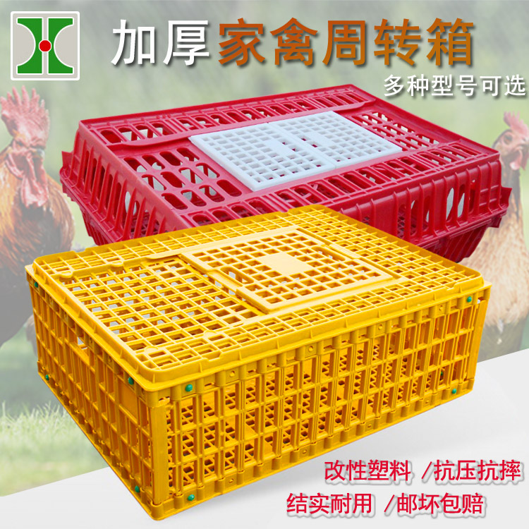 Plastic Chicken Coop Chicken Duck Transport Cage Into Chicken Weekly Transfer Box Transport Basket Goose Cage Pigeon Poultry Transport Cage Manufacturer Direct