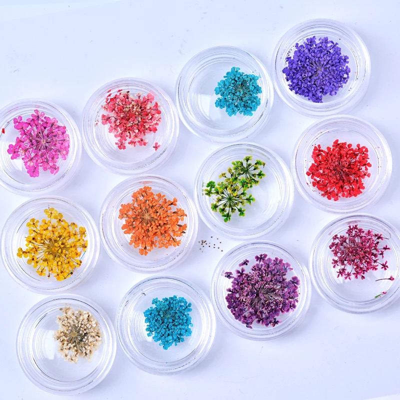 Manicure 12-color baby's breath dry flower Japanese jewelry color artificial flower set nail polish decoration three-dimensional large petals - Taobao
