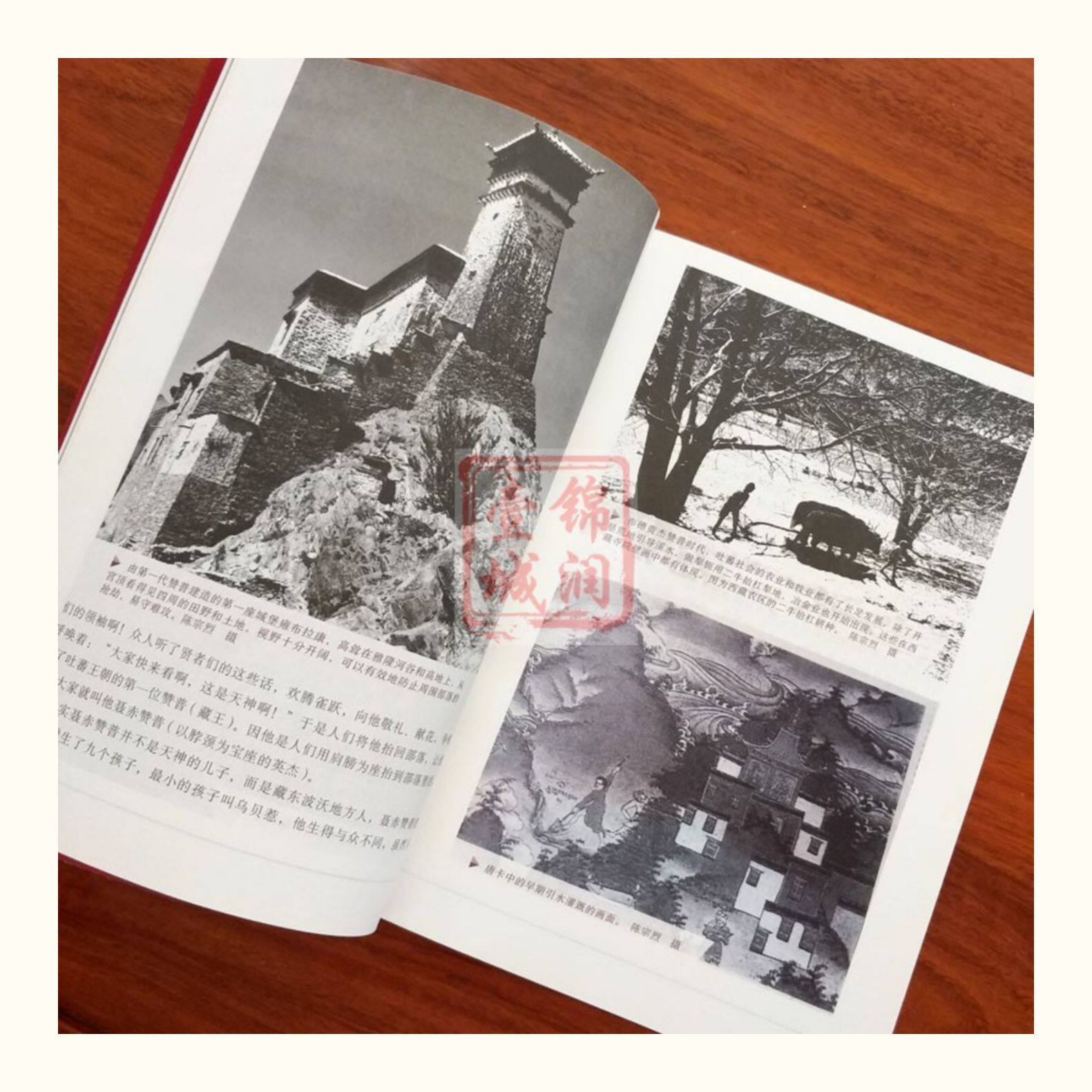 Местные отчеты 西藏历史图说 陈庆英 廖东凡 大量鲜活图片讲述西藏历史故事 介绍英雄史诗 唐卡 壁画 寺庙建筑及饮食 服饰 歌舞戏剧等诸多方面