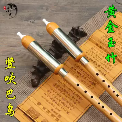 Yunnan Dongyun vertical blowing Bau beginner professional performance Golden Jade FG tune Bau