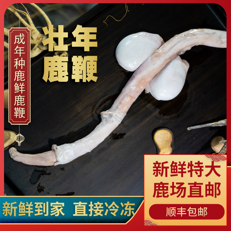 Fresh Deer Whip Whole Root Whole Branch Cold Fresh Jilin Mayflower Deer With Testicles Men to Tonic Bubble Wine to Soup Homely