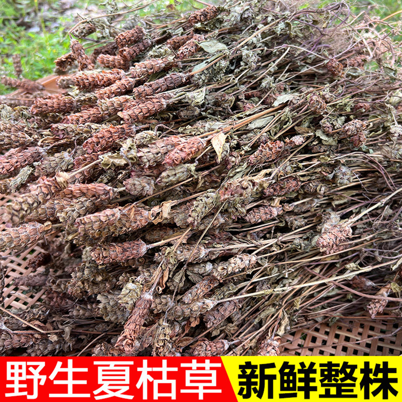 500g of Whole Wild Prunella Vulgaris (Summer Prunella) for Tea, Prunella Vulgaris Balls, Chinese Medicinal Herb, Dried Dandelion
