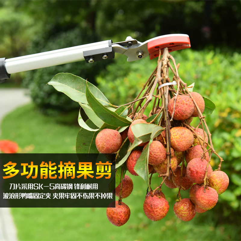 Fruit picking artifact: high-altitude fruit picking, pruning, fruit tree scissors, fruit cutting, high branch sawing, longan cutting, telescopic laurel round lychee
