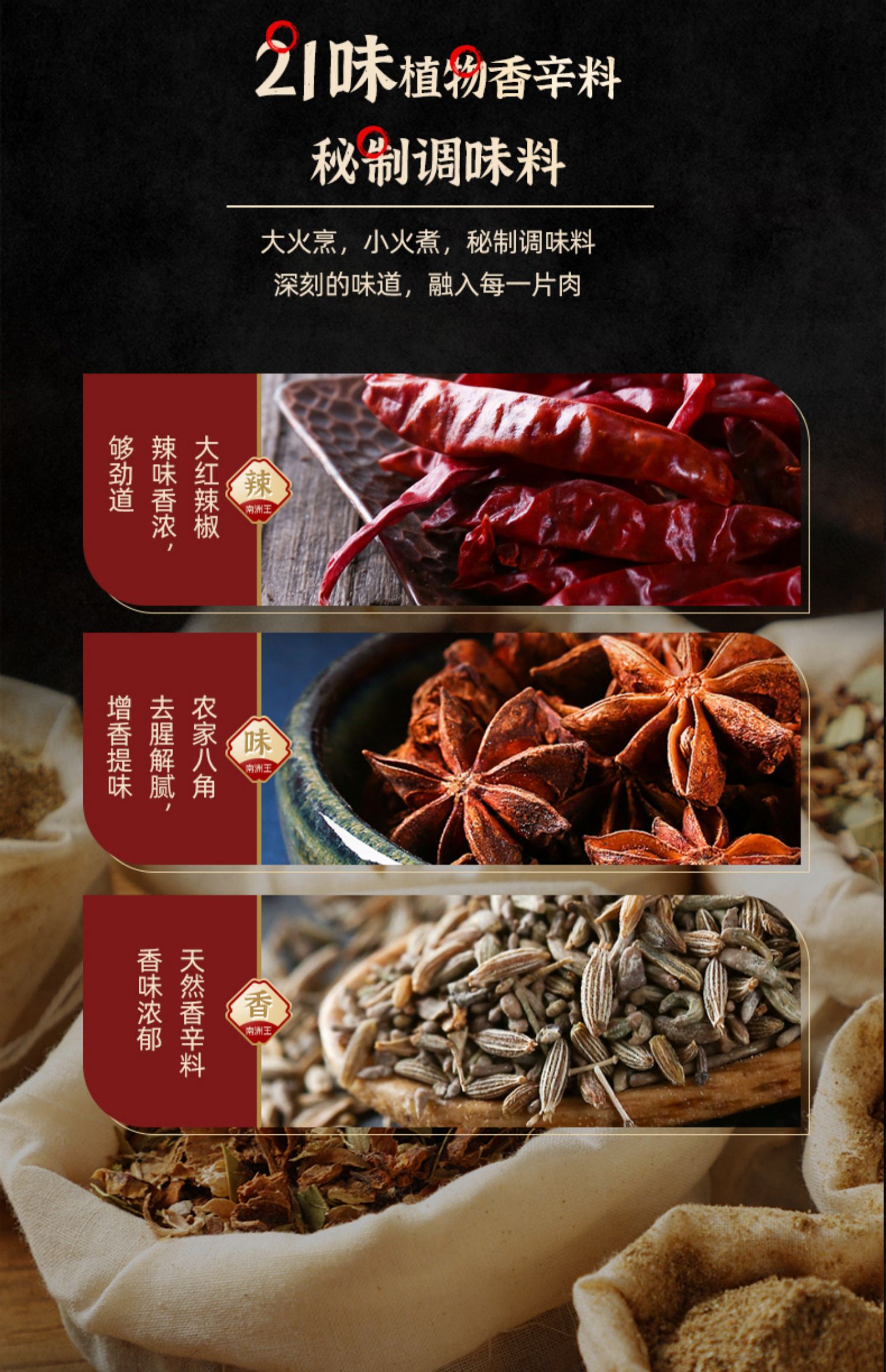 南洲王麻辣肉正宗湖南特产即食真空猪肉脯干