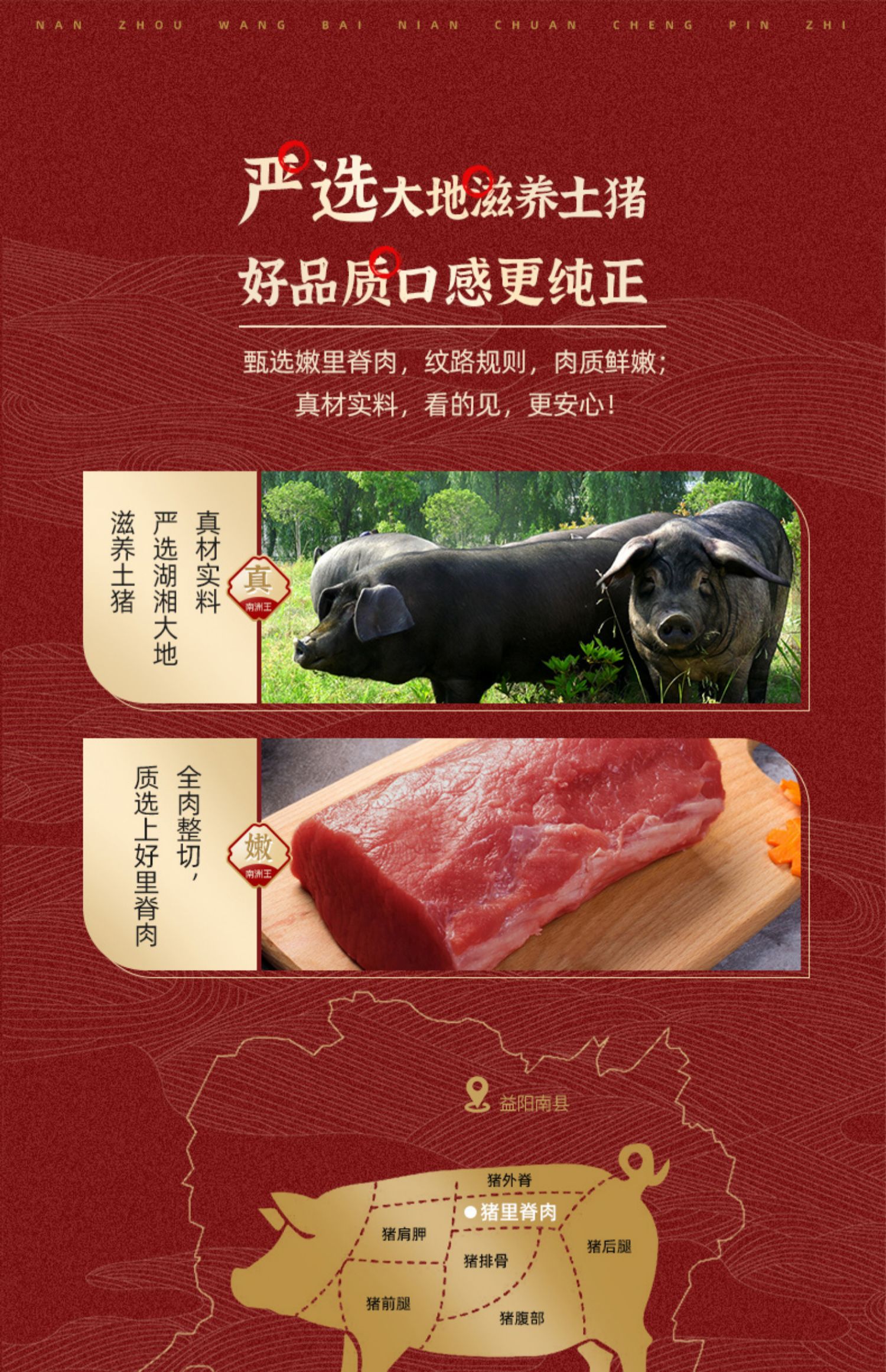 南洲王麻辣肉正宗湖南特产即食真空猪肉脯干