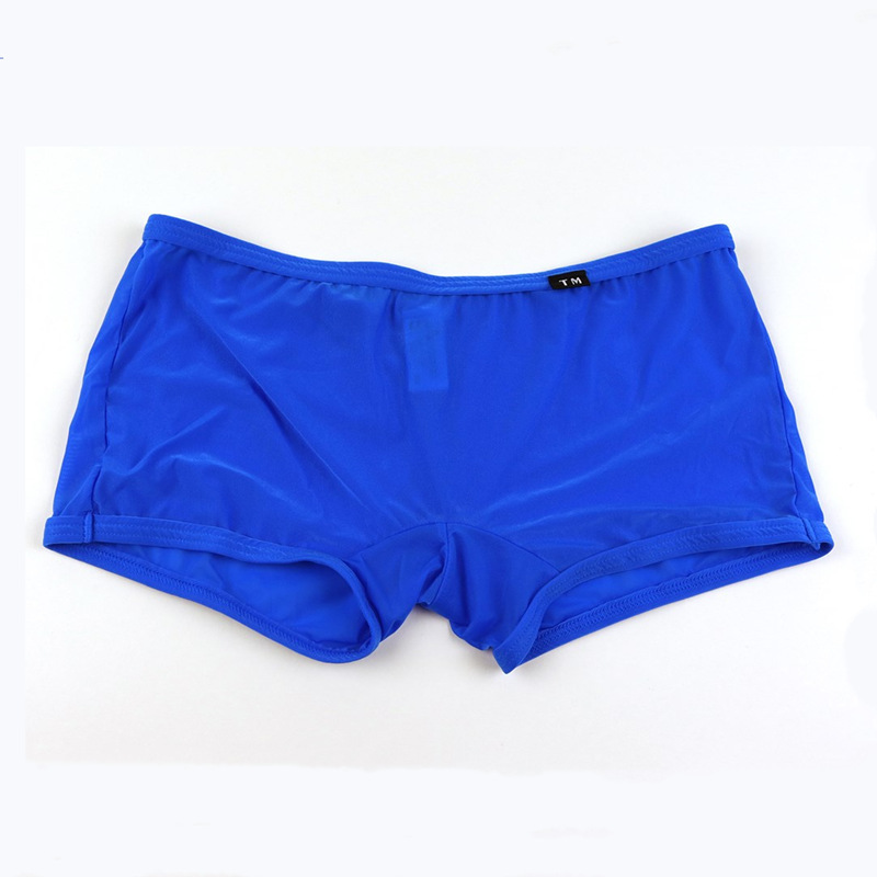 2024 New Men's Low-Rise Semi-Transparent Sexy Boxer Briefs Gay Fashion Underwear Boxer Shorts