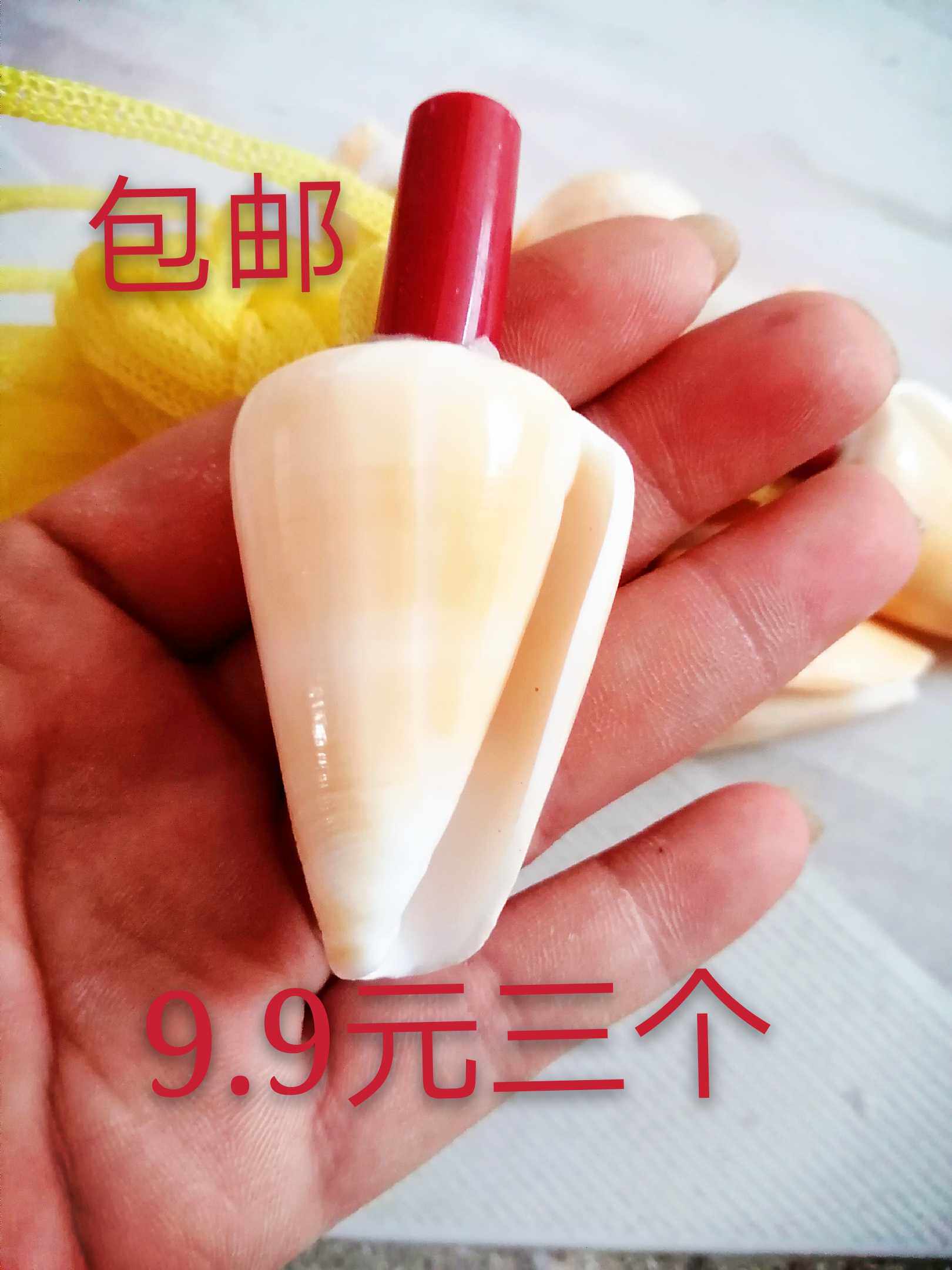 Natural Sea Snail Horn Horn Can Blow Trumpeter Whistles Sea Snail Shell Whistle Children Toy Whistle Trumpet Blow