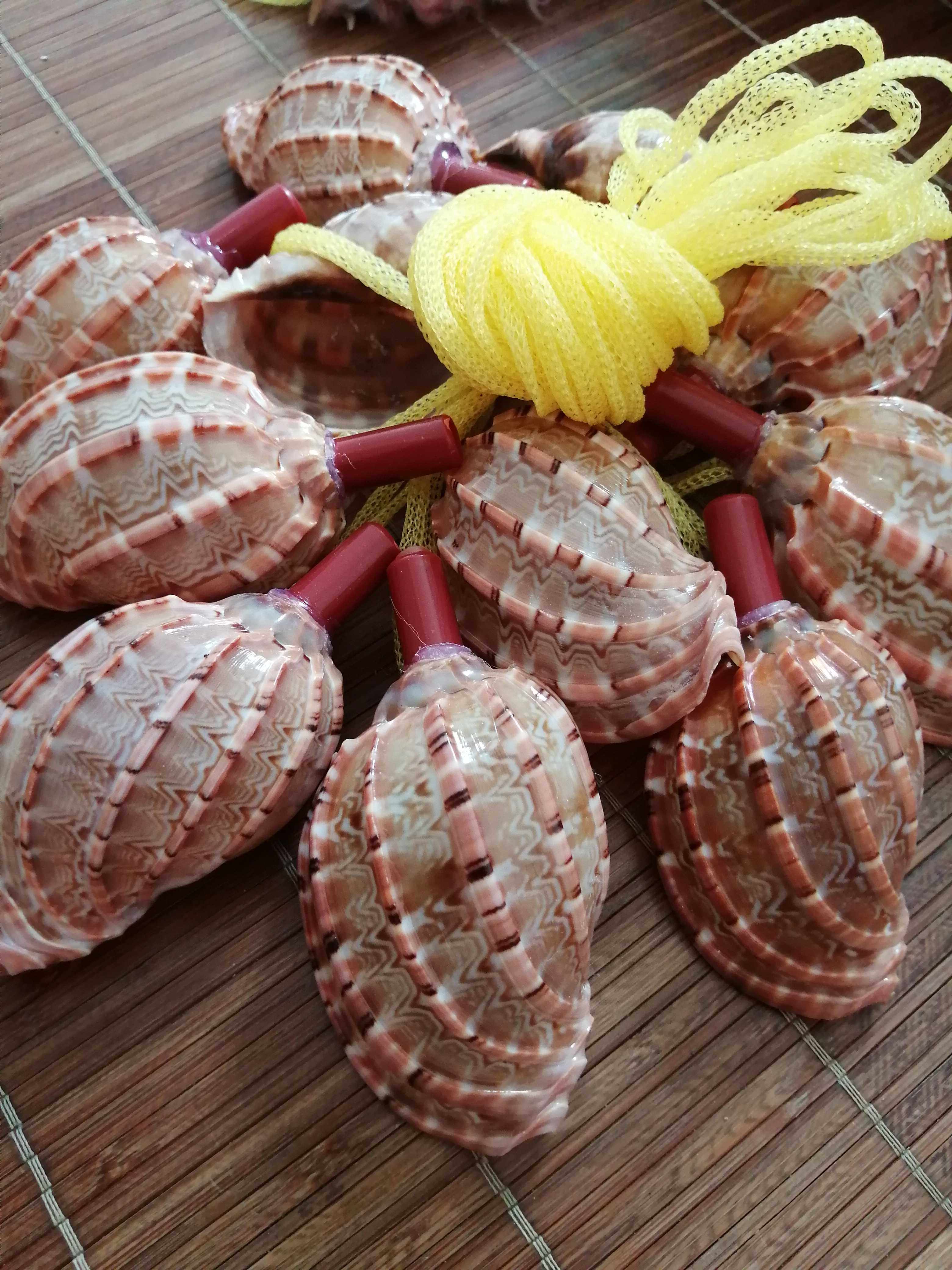 Natural Sea Snail Shell Whistle Horn Blowing Sea Snail Shell Craft Gift Pendulum Whistle Toy Manufacturer Direct Child Gift