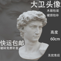 David Gypsum Head Figure Art Teaching Tool Photography Photography Home Studio Decor Ornament Sculpture Statue