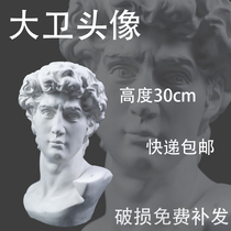 David Gypsum Figure Head Art Sketch Teaching Tool Model Statue People Decorative Sculpture Ornament European