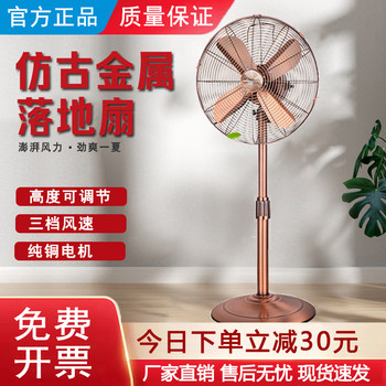 Retro Floor-Standing Fan with Metal Blades for Home and Commercial Use, Restaurant High Airflow Dc Variable Frequency Adjustable Vertical Electric Fan