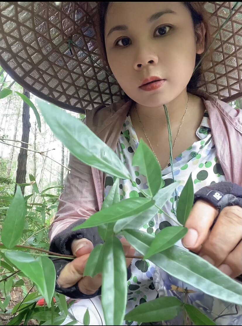 瑶乡山货农产品