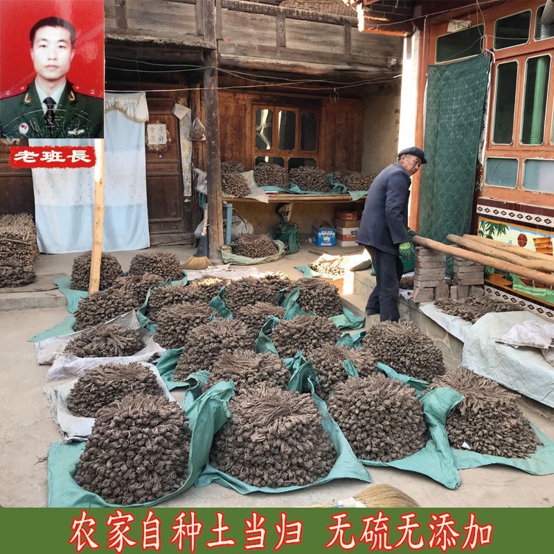 Angelica Gansu Min County Certificate of Origin No Sulphur Non Homoren Church Wild Angelica Can Slice Powder Farmhouse 500g