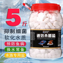 Special sea salt ball salt for aquarium ornamental fish sea salt for fish farming coarse salt for fish tank tropical fish sterilization and disinfection mineral salt