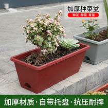 Horrenseed Vegetable Basin Balcony special large Vegetable Planting Case Rectangular Flower Pot species Multi-meat Strawberry Green Implanter