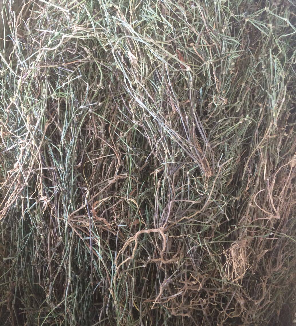 Snake tongue grass new wild Baihua Mountain snake tongue grass White flower snake tongue grass black bone snake tongue grass 500g