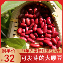 Red kidney beans 3 Jin farmers self-produced this year fresh red kidney beans big kidney beans boiled porridge braised rice pot porridge big red beans