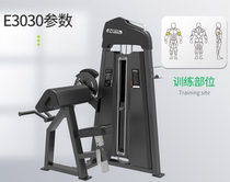 DHZ Bearded E3030 Didirigé Muscle Trainer Fitness Room Commercial Professional Athletic Equipment Power Apparatus