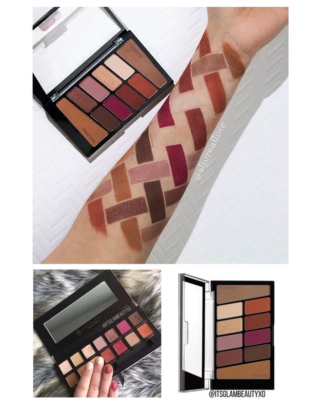 Spot US WetnWild / Wet and Wild Ten Color 10 Color Eyeshadow Disc Renaissance Disk Màu đất tự nhiên - Bóng mắt