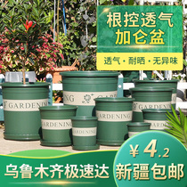 Xinjiang Qingshan root control breathable plastic currant pot thickened rose meat Green Light balcony planting flower pot