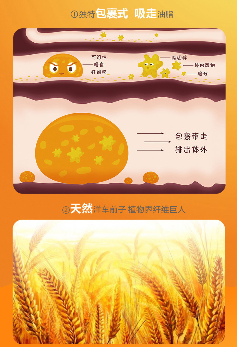 宝洁 美国 Metamucil 美达施 吸油纤维素 瘦肚腩通便 72次 图2