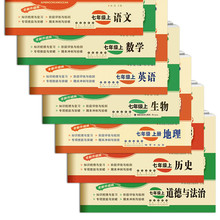 2020聚能闯关100分期末复习冲刺卷