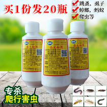 Cockroach Flea Powder