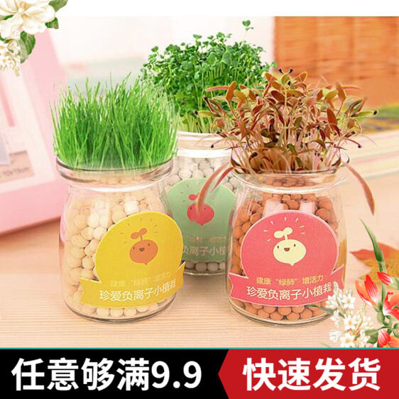 Creative diy negative ion hydroponic potted office desktop micro-landscape plants radiation-proof mini potted plants