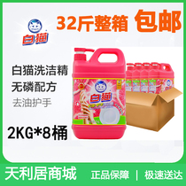 White cat decontamination to oil protective hand washed and refined grapefruit type large barrel 2kg 32 catty of complete box with detergent 8 bottles