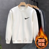 [Zone One Fult] Получить пустую с полков 丨 Spring Specialty 丨 Ola Patskin 丨 Star Tome 丨 сервер домашних животных