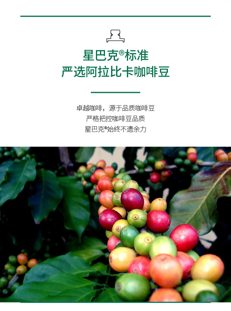 Кофе порошок 星巴克 佛罗娜便携式滴滤咖啡 45g 日本进口 Starbucks