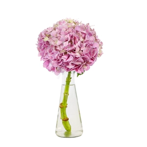 Hydrangea pink 1 ветвь [Pre -sale]