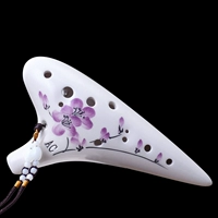 12 -Hole AC [Фонд начальной школы] Zimei