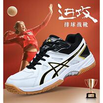 Professional volleyball shoes for mens volleyball students breathable shock-absorbing indoor and outdoor training competition cement floor handball shoes for women