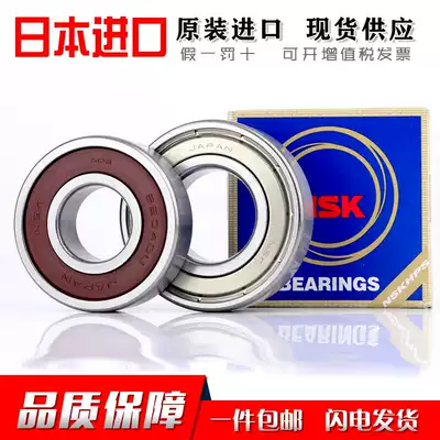 NSK import bearing 6308 6309 6310 6311 6312 6313 6314 6315ZZ DDU