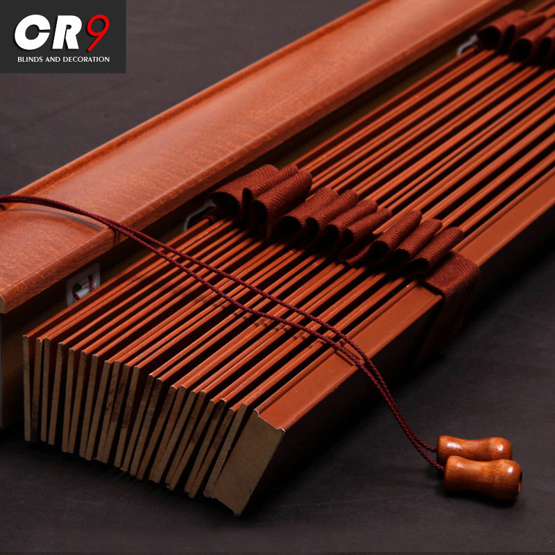 cr9ʵľ��Ҷ����JW-BY20