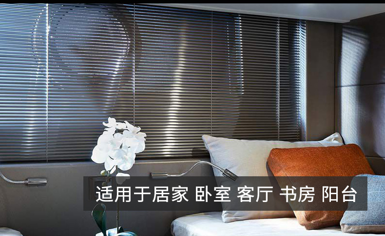 CR9 tiêu chuẩn chải nhôm rèm phòng tắm con lăn rèm Văn phòng nhà bếp phòng tắm phòng tắm không thấm nước - Phụ kiện rèm cửa rèm cửa kéo dây