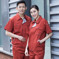 #760#Железное ржаво -красный короткий набор