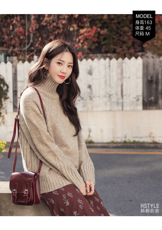 Quần áo Han Du 2019 của phụ nữ Hàn Quốc mùa thu mới cao cổ áo len lỏng áo len 魭 HO10651 - Áo / áo thun