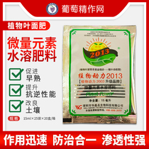 Plant Power 2013 2003 upgrade rooting seedlings water soluble fertilizer foliar fertilizer 15 ml