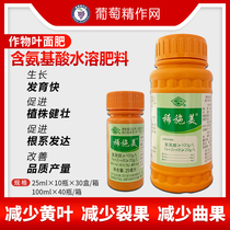 Guoguang dilute Shi Mei amino acid water-soluble fertilizer provides a variety of nutrients needed for lettuce growth