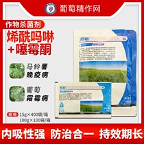 Andaomin Super 80% Methomorphomorph Thiamocerone Potato head disease Cream Moldy Pesticide Fungicide
