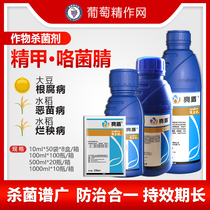  Syngenta Liangdun fine armor cream Linglor bacteria nitrile rice seed coating agent root rot evil seedling disease pesticide fungicide seed mixing agent