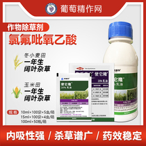 Dow Yinong makes it broad-leaved weed Hollow lotus seed grape orchard lawn herbicide pesticide agricultural materials