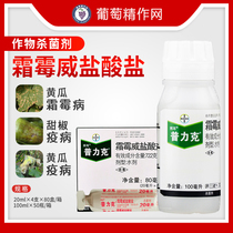 Bayer Pulique Creme Moldy Cucumber Frost of Cucumber Frost disease Sudden Pour Disease Pesticide Fungicide