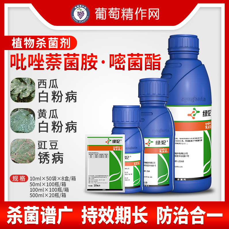 First Zhengda Green Princess Pine-pyrimethine Cucumber Watermelon White Powder white powder Pea Rust Plant Fungicide Pesticide