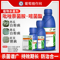 First Zhengda Green Princess Pine-pyrimethine Cucumber Watermelon White Powder white powder Pea Rust Plant Fungicide Pesticide